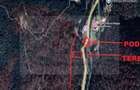 TEREN EXTRAVILAN PADURE PISCUL NEGRU ARGES - 10
