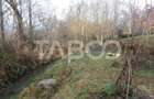 Teren intravilan 8000 mp cu anexa gospodareasca in Vistisoara - 5