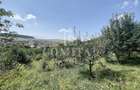 Casă cochetă cu teren generos și panoramă Chinteni - 27