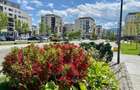 Apartament 2 camere LUX, deomandat Coresi  (Kasper) - 28