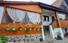 Casa de poveste in Fantanele, judetul Sibiu - 2