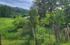 Vand 2.582 mp teren intravilan in Bughea de Jos, Argeș - 4