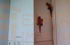 Vânzare apartament 2 camere decomandat,  zona Tomis Nord - TAV-uri - 14