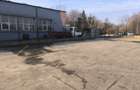 Teren industrial de închiriat – platformă betonată - 4