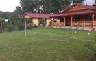 HORIA - 3 CAMERE ,SUPRAFATA 100 MP,TEREN 3000 MP CU DESCHIDERE LA LAC - 2