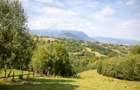 Comision0% Investitie turistica unica - Bran Sohodol 10131mp-Via Transilvanica - 9