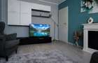 Inchiriere  apartament 3 camere Parcul Circului, cu vedere la parc - 14