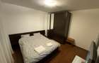 Apartamen 2 camere Drumul Taberei - 2