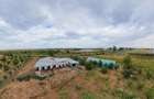 Livadă de 3,6 hectare în Iratoșu – Oportunitate - 10