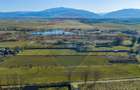 Pret imbatabil in zona: Teren Intravilan 5.000 mp Prejmer - 9