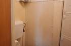Apartament cu 4 camere de vanzare Pantelimon - Delfinului - 10