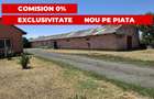 Proprietate mixtă de vânzare în Nădlac – Casă modernă + hală/grajd + teren mare - 3
