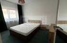 Apartament 2 Camere Valea Lupului - 453 euro - 7