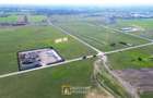 Teren pentru hale industriale Arad – 5.000 mp | PUZ aprobat | - 2