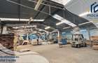 Hala industriala, depozitare vanzare,inchiriere Seitin Arad 10 km vamă - 10