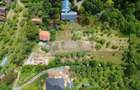 Valea Borcutului,Teren intravilan de vanzare, intre case - 9