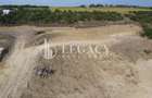Teren intravilan pt dezvoltare imobiliară, lac Aroneanu, Iași - 12