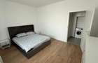 APARTAMENT CENTRALA LOC PARCARE ZONA METALURGIEI - 3