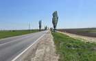 Teren agricol de vanzare 2 ha,  stradal la asfalt  pe  DN 24 TISITA - TECUCI - 3