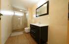 Panoramic View to Herastrau Lake, 5 rooms apartment - 21