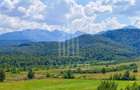 Teren intravilan de vânzare | Valea Avrigului-Porumbacu de Jos - 5