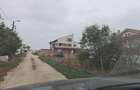 Teren de vanzare in Palazu Mare 509 mp - 5