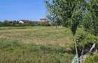 5000 mp teren parcelabil la strada asfaltata, APROAPE DE KAUFLAND. - 5