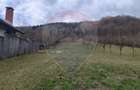 Teren de vânzare în Firiza, Baia Mare - 1