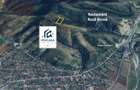 De Vanzare Teren extravilan 6722 mp Păuliș – zona Roca Bruna, Arad - 3