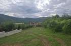 Teren intravilan de vânzare în Cisnădioara – 940 mp - 1