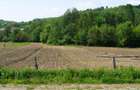 Vad 22000 mp INTRAVILAN BOGATI DJ702C jud Arges - 7