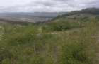 teren extravilan 3640 mp Strada Stejarului - 8