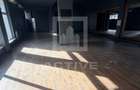 Spatiu comercial // Intre Lacuri  - 2