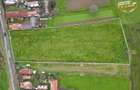 FILM!Potential rezidential/ investitional: 8.000 mp intravilan construibil, Sanz - 17