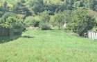 Teren intravilan - 1