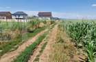 Teren de vânzare, partial intravilan – Izvor, Tărlungeni – 10.900 mp - 1