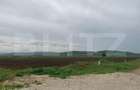 Teren intravilan, 6759 cu PUZ pentru hala, zona Alba-Sebes langa A1 - 2