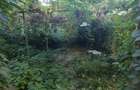 Casa-Curte proprie | Plantelor | - 15