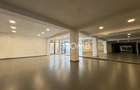 Spațiu comercial 450 mp utili, vitrină, cartier Plopilor - 3