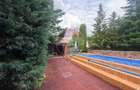 Leamna de sus, casa cu piscina, 2000mp - 9