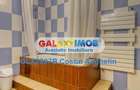 Apartament Premium 5 Camere - Vila Kiseleff   Victoriei - 6
