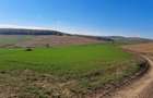 Teren agricol de vanzare  - 6
