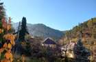Apartament superb in Centrul Istoric - 1