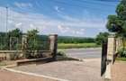 Casă P+2 Lebăda la strada principală - 14