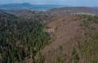 Teren intravilan, 56000 mp, Poiana Brașov - 13