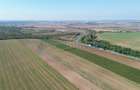 Teren intravilan de vanzare, 66400 mp, langa Oradea, Bihor - 11
