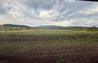 Casă individuală premium | 160 mp utili | Teren 690 mp | Schit | Alba Iulia - 6