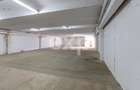 Hală de închiriat – 450 mp utili | Calea Moinești | Zonă industrială - 15