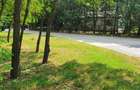 PARADISUL VERDE- teren in suprafata de 1 326 mp,. utilitati - 4