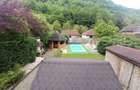 Casa | Cabană premium în Râmeț | Piscină | Afacere la cheie | Valea Mănăstirii - 9